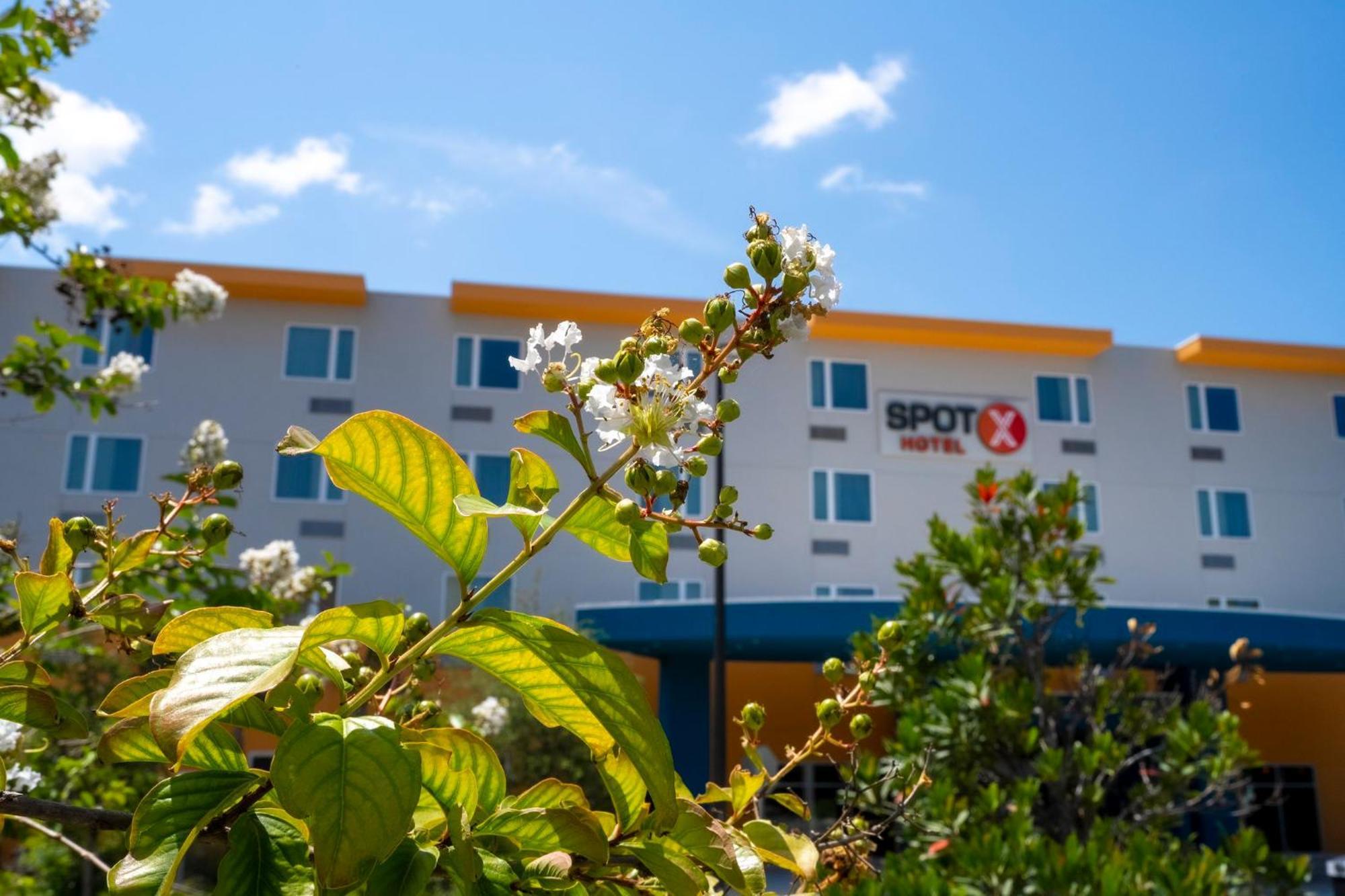 Spot X Hotel Orlando Intl Dr By The Red Collection レイク・ブエナ・ビスタ エクステリア 写真